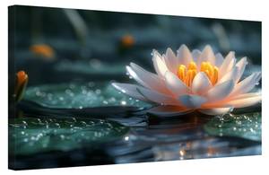 Bild Lotus Blumen VIII 120 x 80 cm