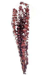 Bouquet de fleurs séchées BADAJOZ Marron - Rouge - Fibres naturelles - 13 x 56 x 4 cm