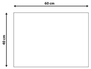 Fussmatte FANSIPAN Schwarz - Naturfaser - 40 x 60 cm