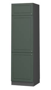 Armoire pour frigo Fame-Line 38003 Anthracite - Vert - 60 x 206 x 58 cm