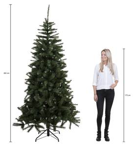 Weihnachtsbaum Bristlecone 163 x 260 x 163 cm