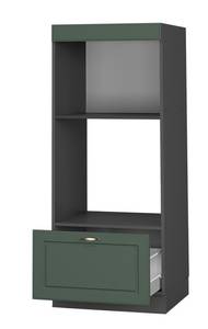 Armoire micro-ondes Fame-Line 38578 Gris - Vert - Bois manufacturé - 60 x 153 x 58 cm