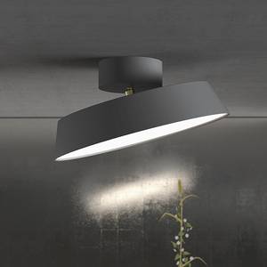 Lampada da soffitto Alba 1 luce