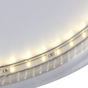 Lampada da soffitto Circle Metallo/Materiale sintetico Color argento