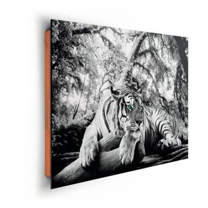 Afbeelding Tigerblick II Grijs - Wit - Plaatmateriaal - Papier - 90 x 60 x 2 cm