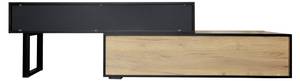 Sideboard Astraios Ⅲ Braun - Holzwerkstoff - Metall - Massivholz - Holzart/Dekor - 34 x 50 x 200 cm