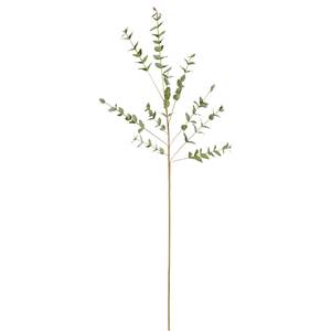 Zweig von Eucalyptus Parvifolia Grün - Kunststoff - 1 x 90 x 1 cm