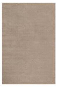 Kurzflorteppich Greenwood Rug Beige - Cremeweiß - 200 x 300 cm