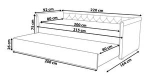 Tagesbett LIBOURNE Dunkelgrau - Grau - 92 x 220 cm