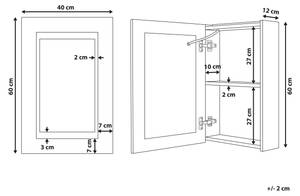 Bad-Spiegelschrank MALASPINA Schwarz - Silber - Holzwerkstoff - 40 x 60 x 12 cm