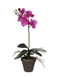 Plante artificielle Orchidée Mauve - Pierre - Textile - 13 x 48 x 13 cm