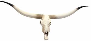Crâne de décoration vache D32 Beige - Pierre - 103 x 43 x 11 cm