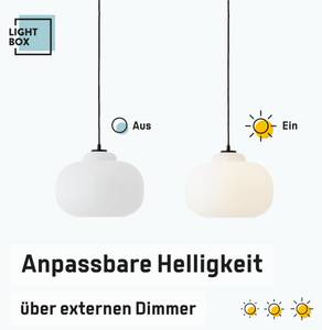 Hängelampen 2121516 1 Weiß