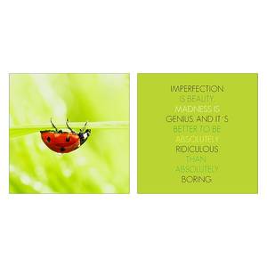 Afbeeldingen Imperfection is beauty (2-delige set) - achter glas