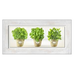 Afbeelding achter glas Kruidentuin Groen - Meerkleurig - Massief hout - 100 x 50 x 2.1 cm