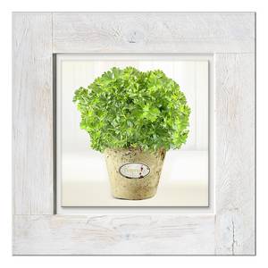 Afbeelding achter glas Petersilie Groen - Meerkleurig - Massief hout - 50 x 50 x 2.1 cm