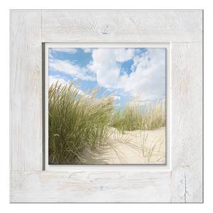 Glasbild Sommertag I Grün - Multicolor - Massivholz - 50 x 50 x 2.1 cm