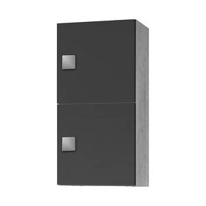 Placard suspendu Genf Anthracite / Gris 2 portes