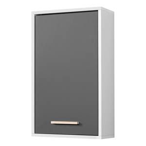 Armoire suspendue Oslo I Gris mat