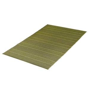 Tapis Fürth (intérieur/extérieur) Vert - 120 x 170 cm