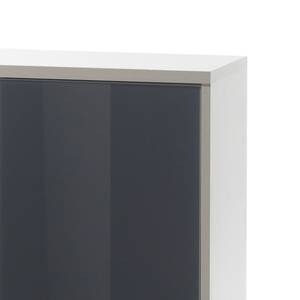 Armoire à dossiers Tux Graphite brillant / Gris clair