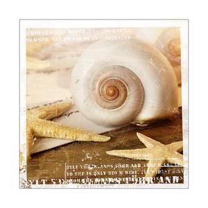 Stampa decorativa Juwelery of the sea I Dimensioni: 30 x 30 cm