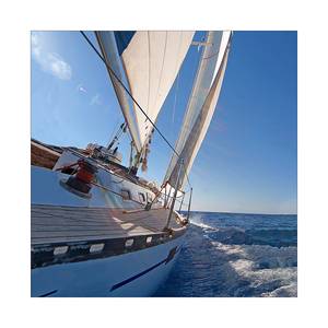 Kunstdruck sailing trip I Größe: 50 x 50 cm