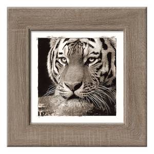 Impression d'art Tiger I Marron - Multicolore - Bois manufacturé - 44 x 44 x 1.7 cm