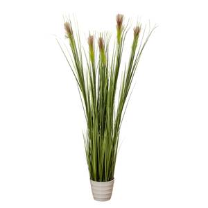 Kunstpflanze Gras Kunststoff - Grün / Weiß
