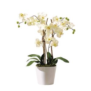 Kunstpflanze Orchideentopf Elegance" Textil / Keramik - Grün / Weiß
