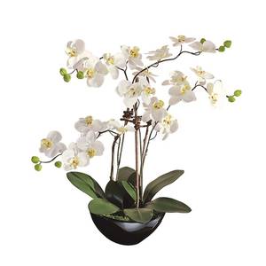 Kunstpflanze Orchideentopf Modern Textil/Keramik - Grün/Weiß