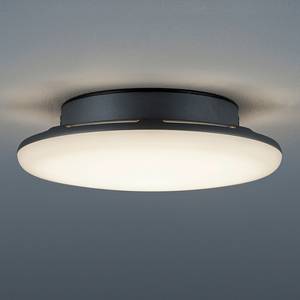 Luminaire d'extérieur LED Bering 1 ampoule - Aluminium / Matériau synthétique - Anthracite - Abat-jour diamètre : 20 cm