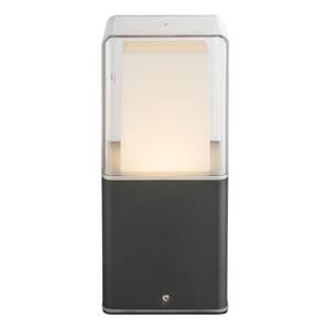 LED-buitenlamp Dalia I glas/aluminium - 1 lichtbron