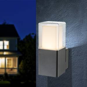 LED-buitenlamp Dalia II glas/aluminium - 1 lichtbron