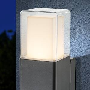 LED-buitenlamp Dalia II glas/aluminium - 1 lichtbron