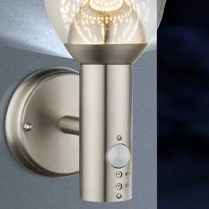 LED-buitenlamp Monti II glas/roestvrij staal - 1 lichtbron