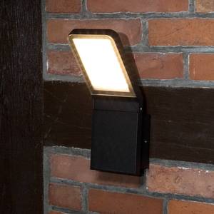 LED-buitenwandlamp Panel Crest I glas / aluminium - 1 lichtbron