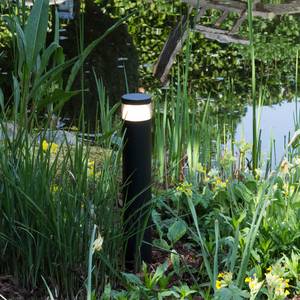 LED-padverlichting Shiso Hoogte: 50 cm