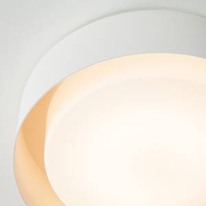 Lampada da soffitto LED Loop by Micron Vetro/Alluminio Bianco