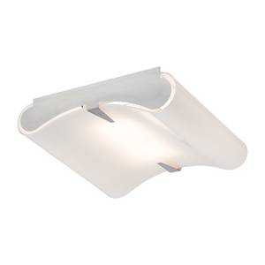 Plafonnier LED Secret Verre / Acier Blanc 2 ampoules