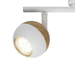 LED-plafondspot Scan I staal - Aantal lichtbronnen: 2