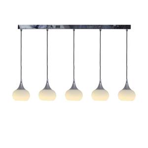 LED-hanglamp metaal/glas zilverkleurig 5 lichtbronnen