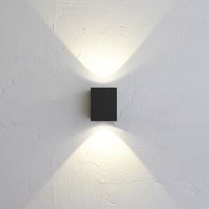 LED-buitenlamp Kanto glas/staal - 2 lichtbronnen - Zwart