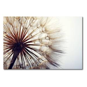 Foto op canvas Big Dandelion canvas - beige/lichtgrijs