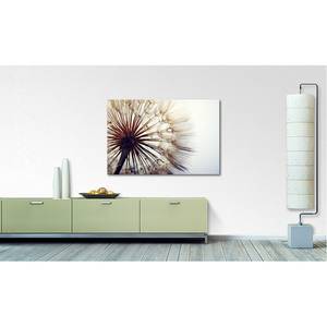 Foto op canvas Big Dandelion canvas - beige/lichtgrijs