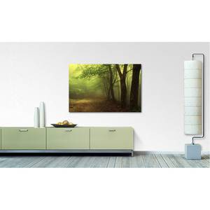 Foto op canvas Green Forest canvas - groen/bruin