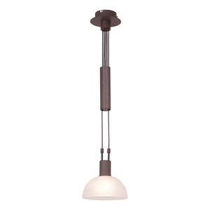 Suspension Amira 1 ampoule