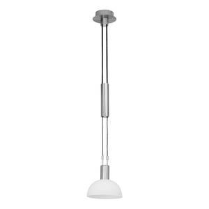 Hanglamp Robinia metaal/zilverkleurig glas 1 lichtbron