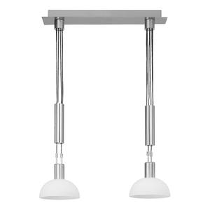 Hanglamp Robinia metaal/zilverkleurig glas 2 lichtbronnen