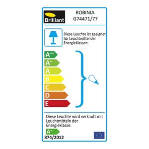 Hanglamp Robinia metaal/zilverkleurig glas 2 lichtbronnen